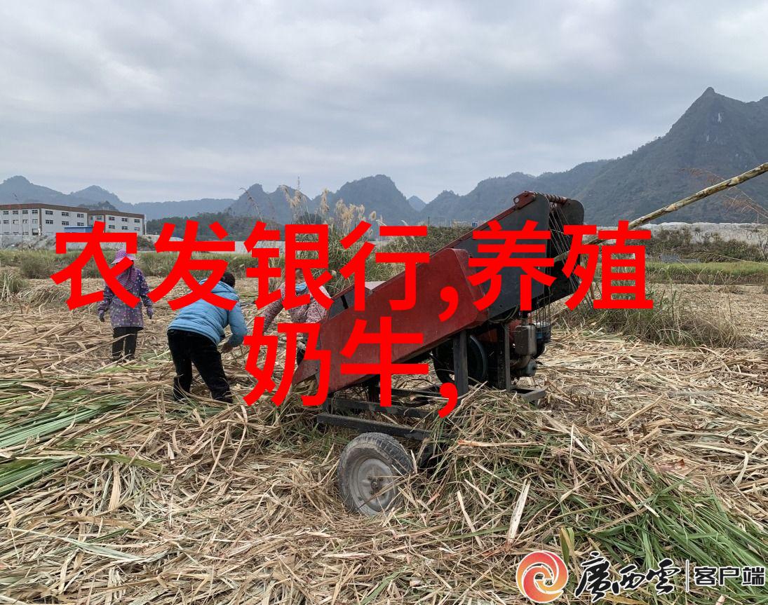 猪支原体病的防治