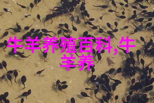 肉羊无公害育肥技术措施
