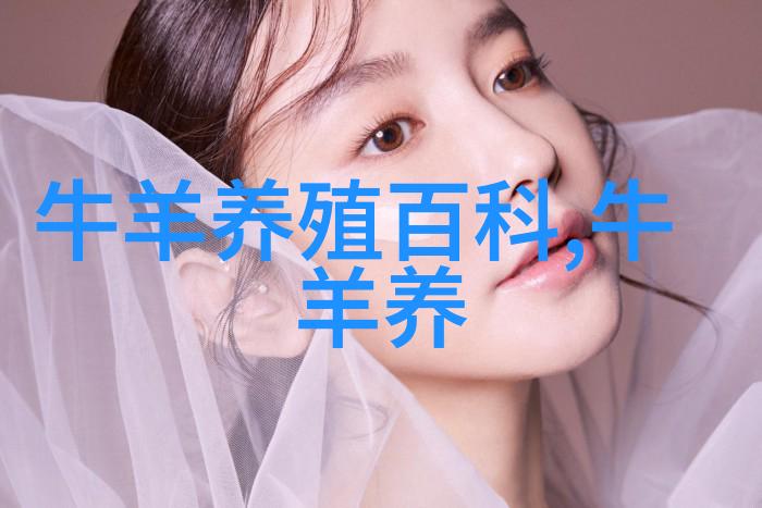 饲养奶牛有秘诀