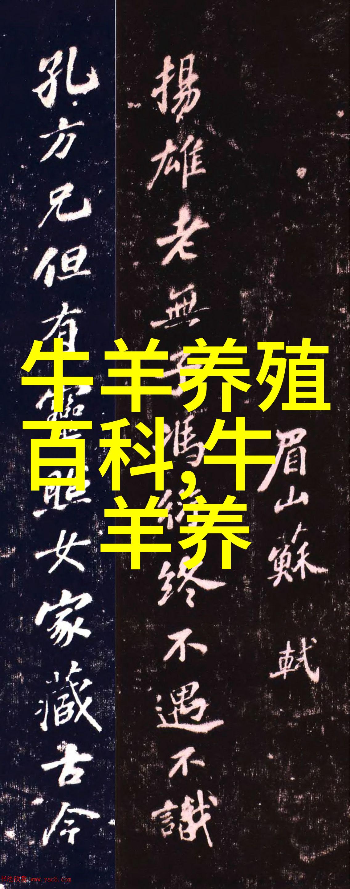 肉牛育肥提速
