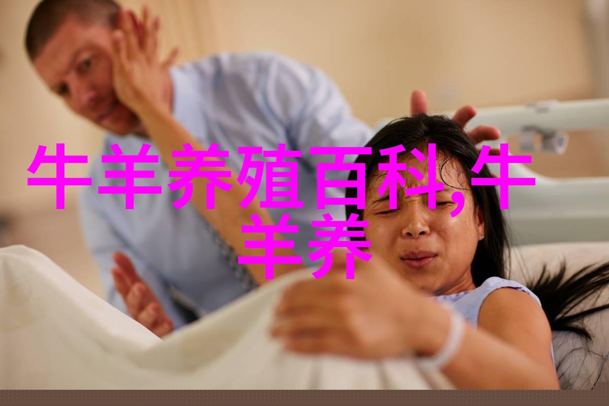 育肥牛的选择
