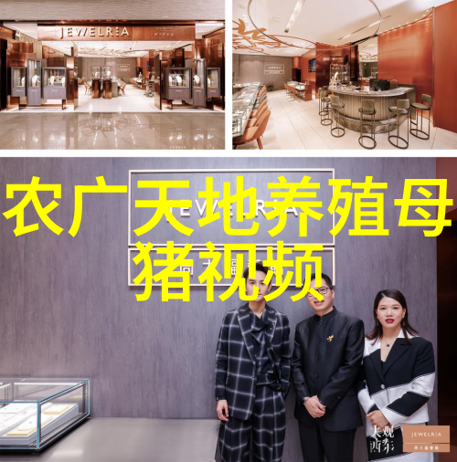 种公猪的细心管理