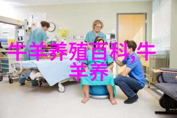 肉牛短期速肥的技术