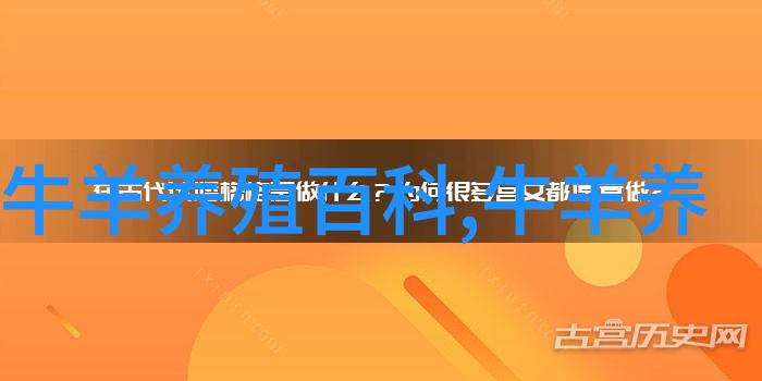 肉牛好育肥科学生产