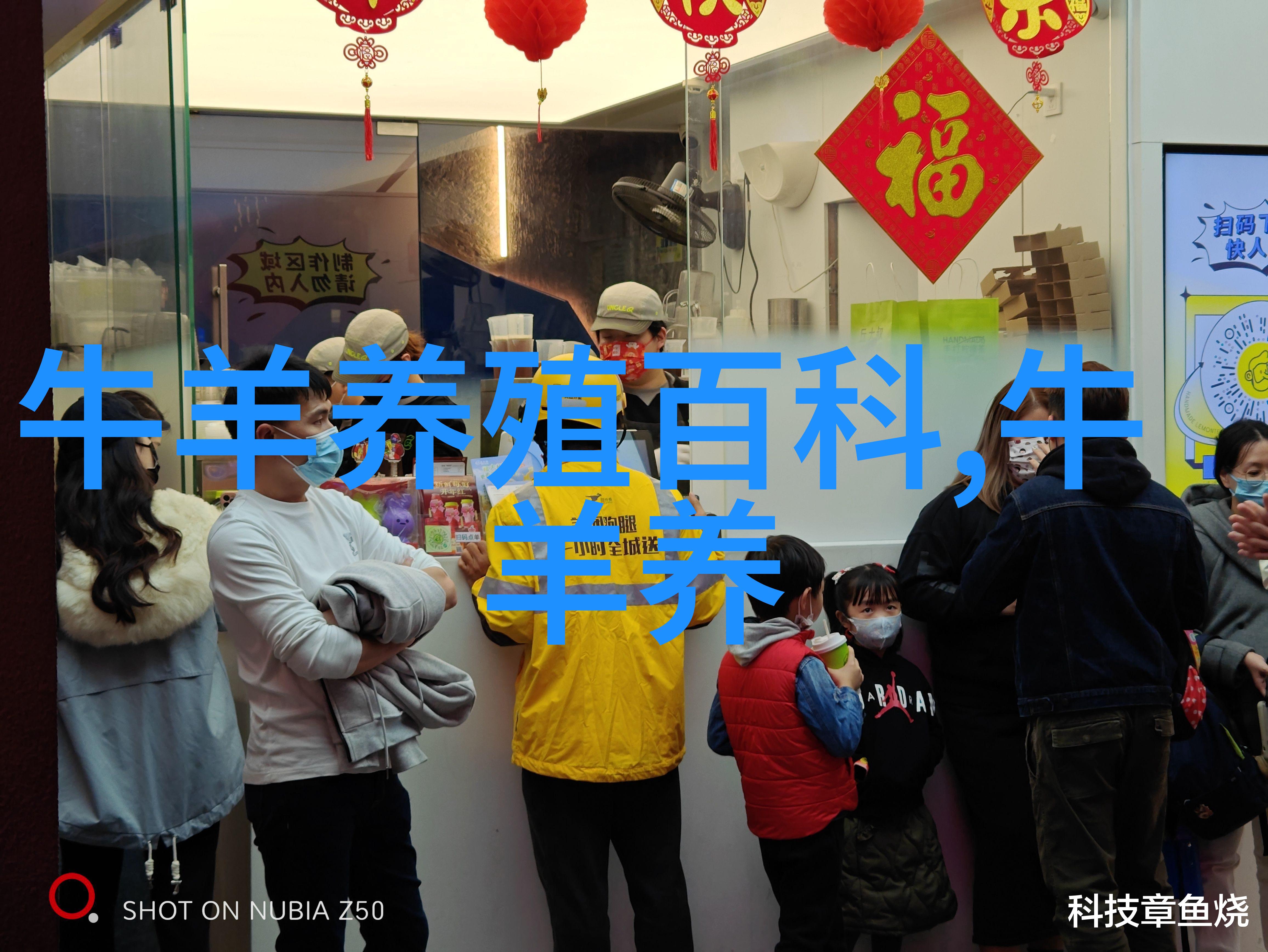 肉牛繁殖新技术