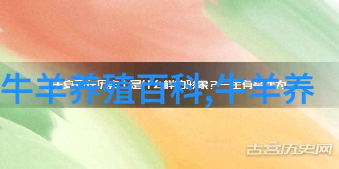 肉牛高效饲养管理技术(1)架子牛
