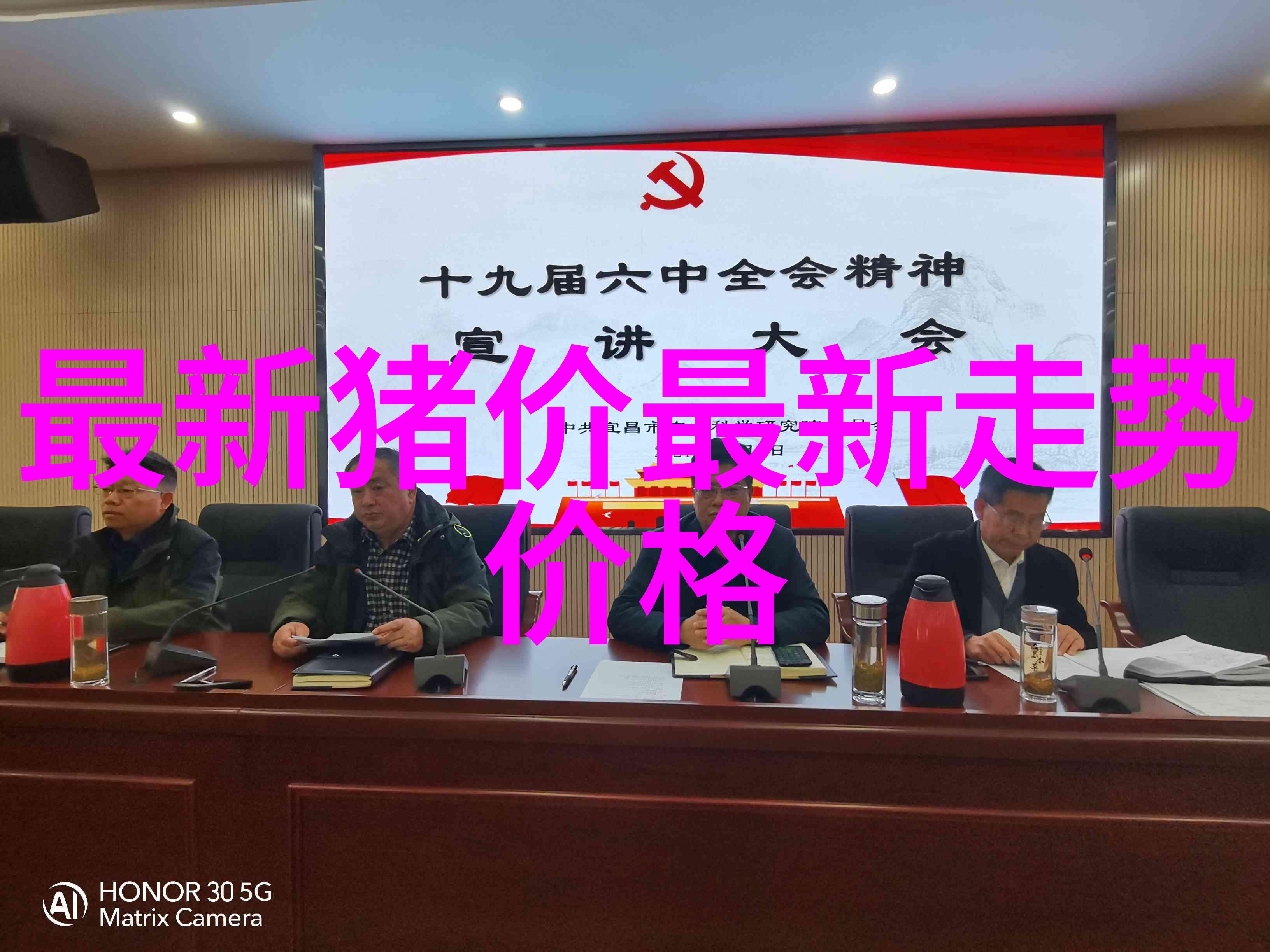 让母猪多胎高产有巧法