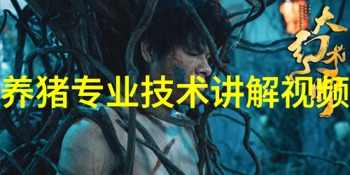韭菜治仔猪白痢