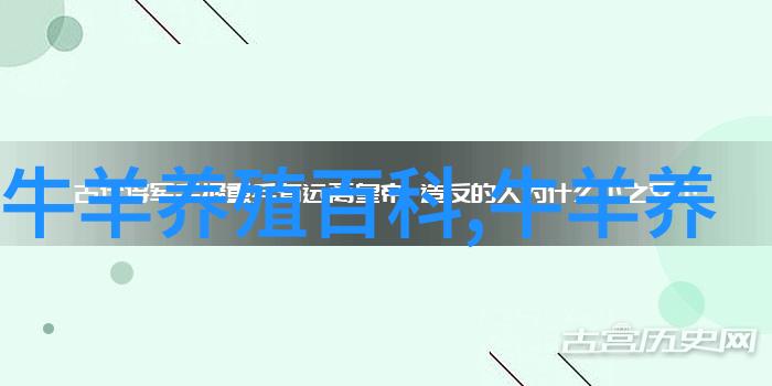 采取配套技术 快速育肥肉牛