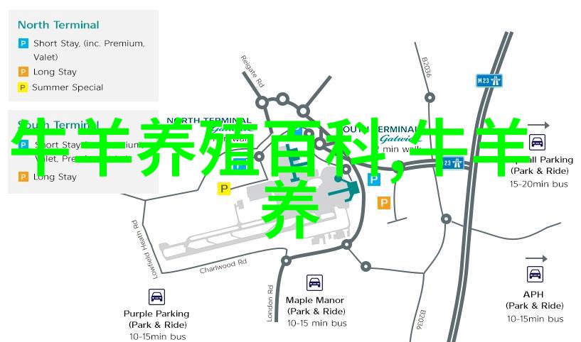 饲养小尾寒羊的十忌