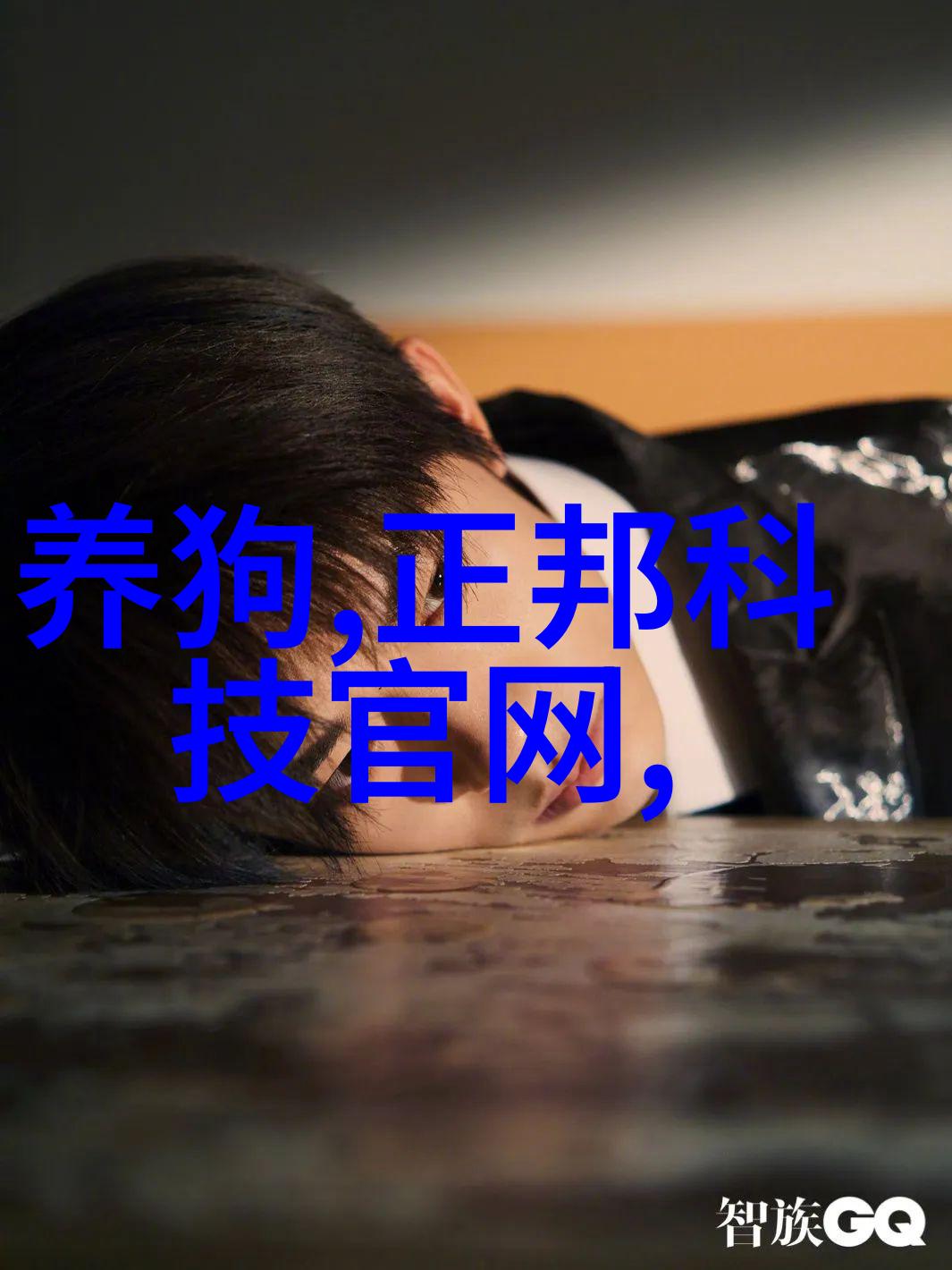 防治生猪红白黄痢妙法