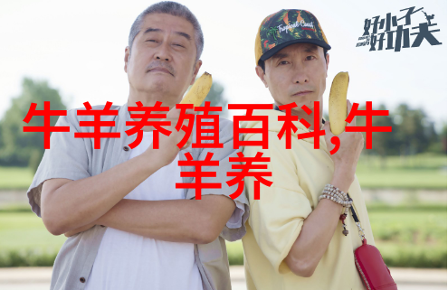 牛水泡性口炎怎么防治