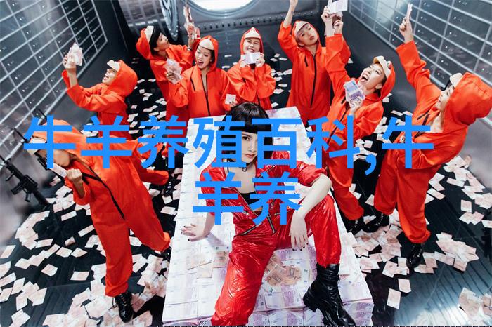 用甘蔗尾喂牛四注意